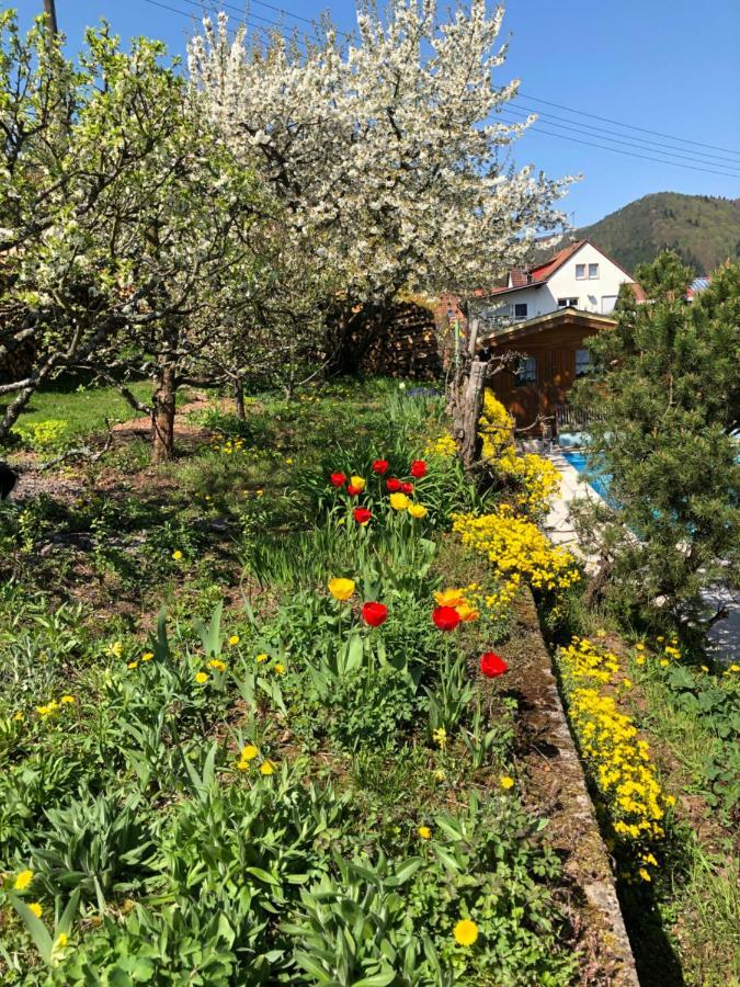 Ferienwohnungen Ries Eusserthal Exteriér fotografie
